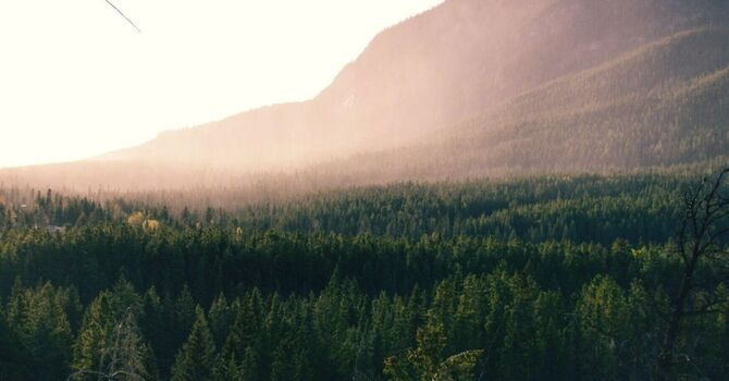 Toddlers and Children