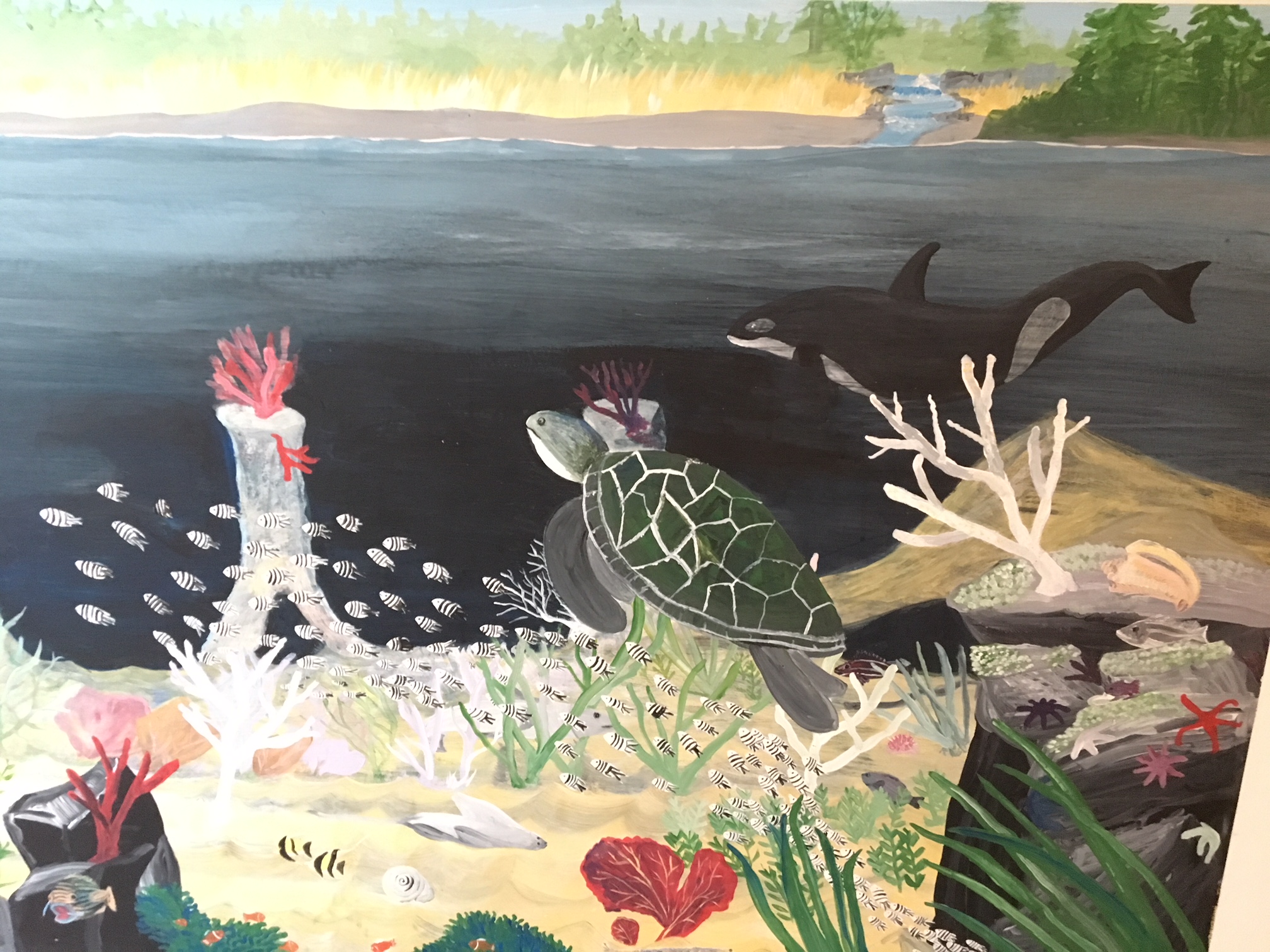 a mural of ocean marine life